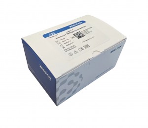 Sanity-2 Respiratory Pathogen Panel (RPP40)