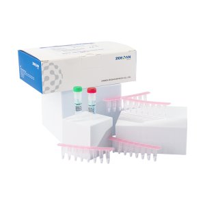 MeltPro® High Risk HPV Genotyping Assay (MMCA)