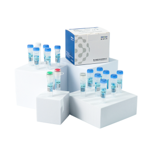 Leukemia Fusion Genes (Q51)  Screening Kit